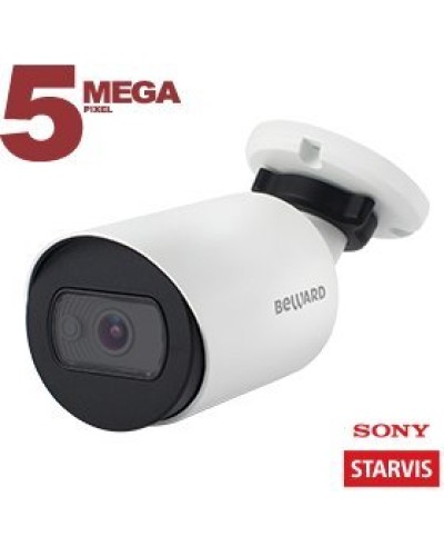 SV3212RC (3.6мм). Видеокамера IP цилиндрическая. Beward в Твери
