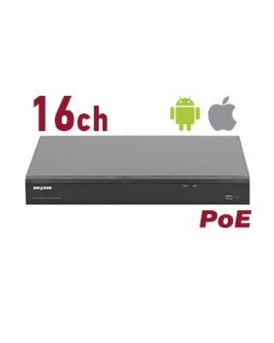 RK2216-P. Видеорегистратор IP 16-канальный. Beward в Твери