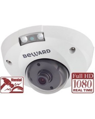 NK55630D8. IP-камера купольная. Beward в Твери