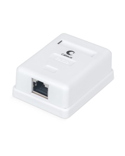 WS-8P8C-Cat.5e-SH-1 (7485c): Розетка RJ-45 в Твери