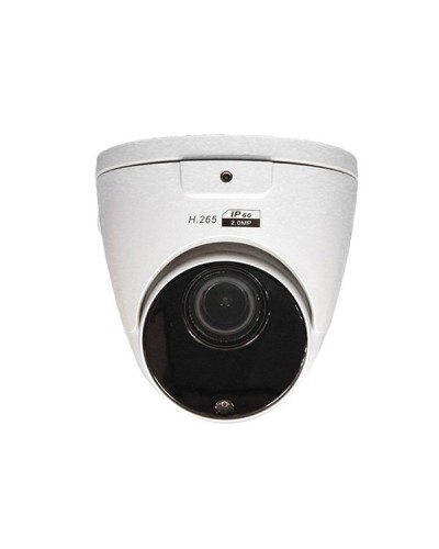 CO-RD23P. Видеокамера IP купольная. ComOnyx в Твери