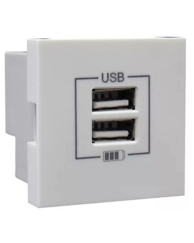 Розетка USB двойная, зарядная, белая (45439 SBR): Розетка USB двойная в Твери