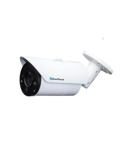EZN-268V. Видеокамера IP купольная. EverFocus в Твери