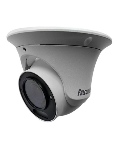 FE-IPC-DV2-40pa. Видеокамера IP купольная. Falcon EYE в Твери