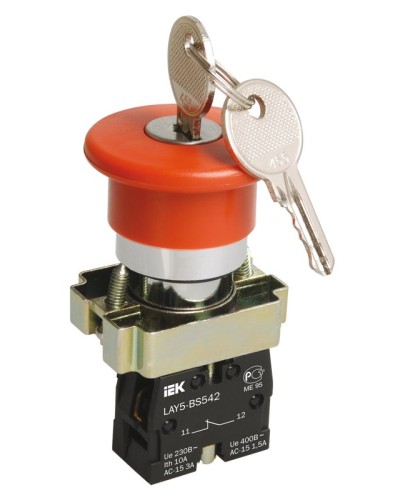 Кнопка LAY5-BS142 Грибок с ключом D22мм (BBG50-LAY5-K04). Кнопка. IEK в Твери