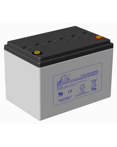 LEOCH LPG 12-60. Аккумулятор герметичный свинцово-кислотный. LEOCH в Твери