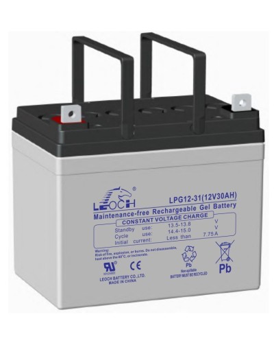LEOCH LPG 12-31. Аккумулятор герметичный свинцово-кислотный. LEOCH в Твери