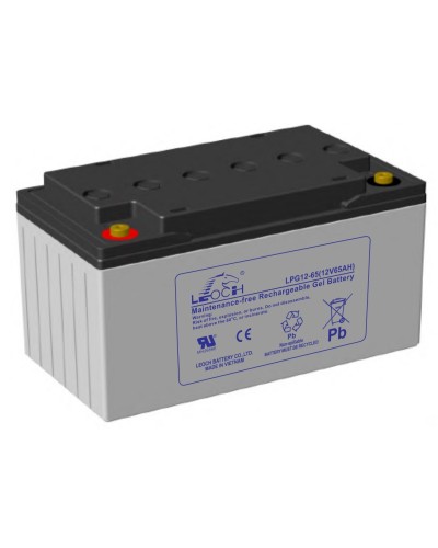 LEOCH LPG 12-65. Аккумулятор герметичный свинцово-кислотный. LEOCH в Твери
