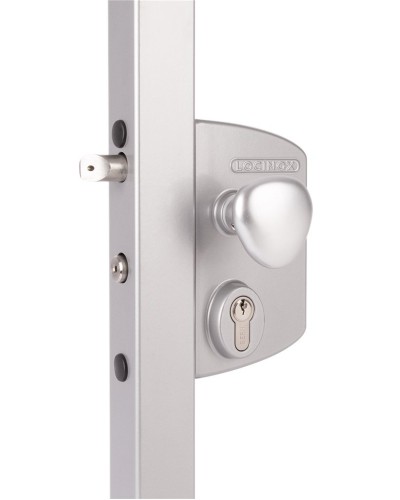 LIKQ4040 U2L (цвет: RAL 9005, черный). Замок электромеханический для калиток. Locinox в Твери