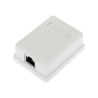 Розетка компьютерная внешняя, 2-порта FTP RJ-45 (8P8C), CAT 6 REXANT (03-0146): Розетка RJ-45