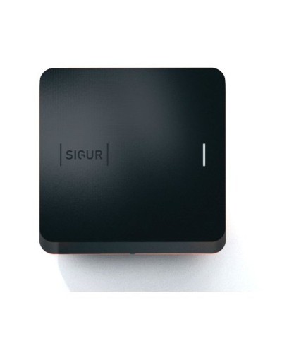 Sigur MR100 Multi. Считыватель. SIGUR в Твери