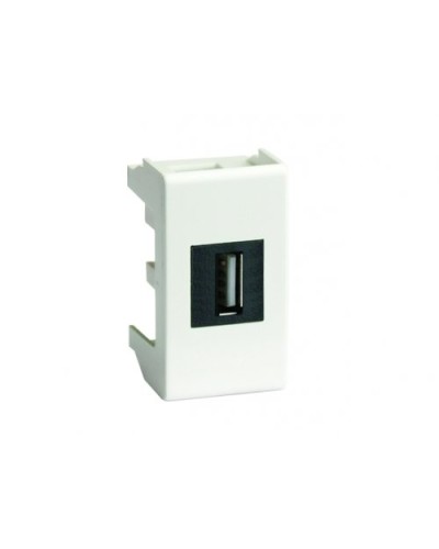 Розетка USB 2.0 Brava 1 модуль слоновая кость (75200S): Розетка USB в Твери