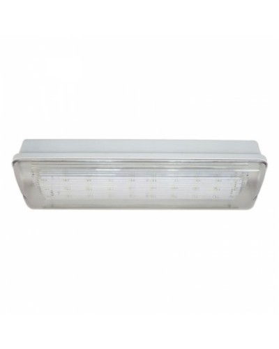 SL-213-30LED1.8 исп.1 IP54. Светильник аварийного освещения. ИП Раченков А.В. в Твери