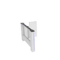 CAME SWING GATE SWG 90 (001SWG90MS). Турникет с распашными створками. CAME